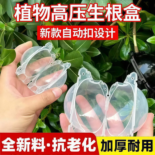 植物高压繁殖盒控根器扦繁殖盒