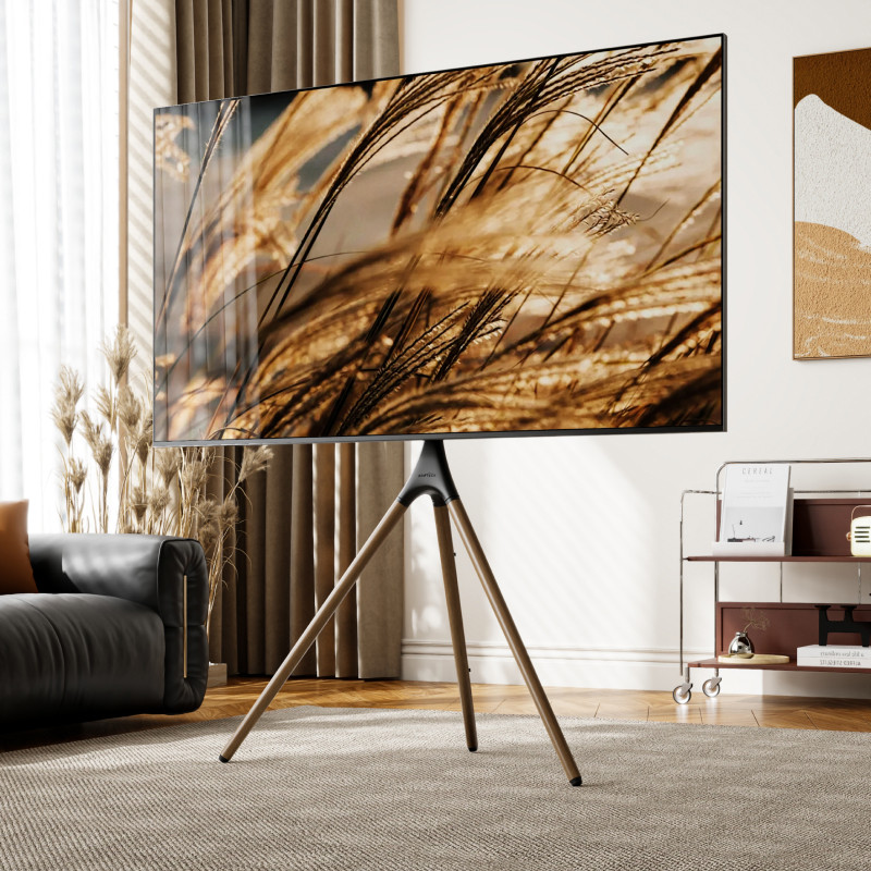 北弧电视落地立式移动推车支架可旋转电视机架适用小米海信FS601