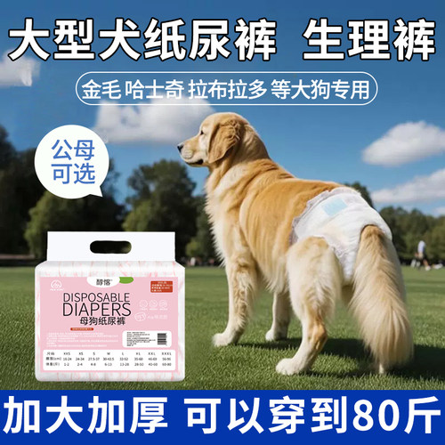 大狗尿不湿母狗狗生理裤安全裤