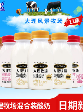 欧亚牛奶大理牧场低温酸奶酸牛奶243g*12瓶原味熟酸奶鲜花乳制品