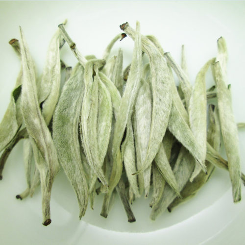 云南白茶 2026年春茶大白毫 景谷月光白 单芽白毫银针 散装茶叶