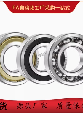 圆柱滚子轴承BCHA-A17 A20 A25 A30 A35 A40-D40 D52 D62 D170