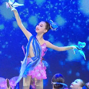 晓春飞蝶毕业舞蹈服儿童古典少儿群舞彩蝶飞舞表演服蝴蝶道具服装