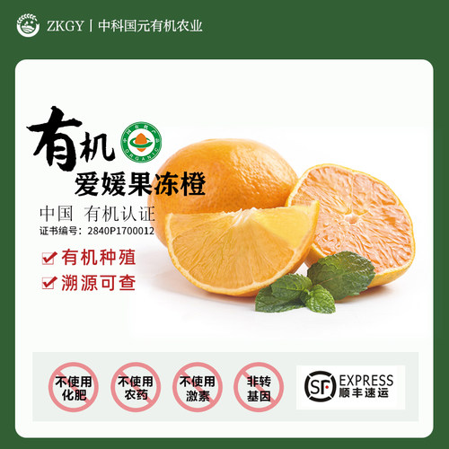 有机果冻橙四川当地水果酸甜可口