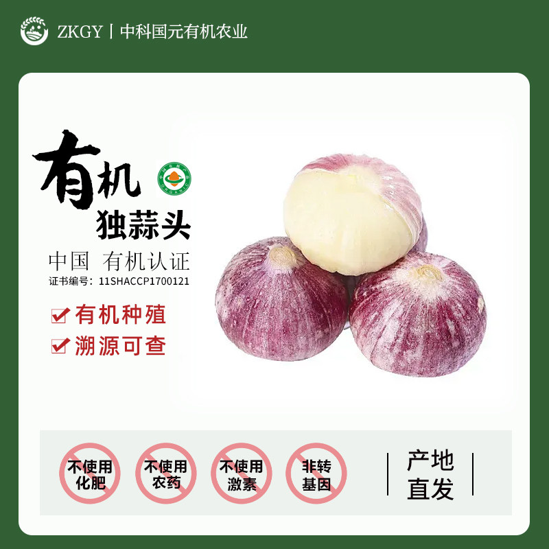 有机紫皮蒜独蒜头新鲜蔬菜现挖现发农家自种无农药化肥无激素包装