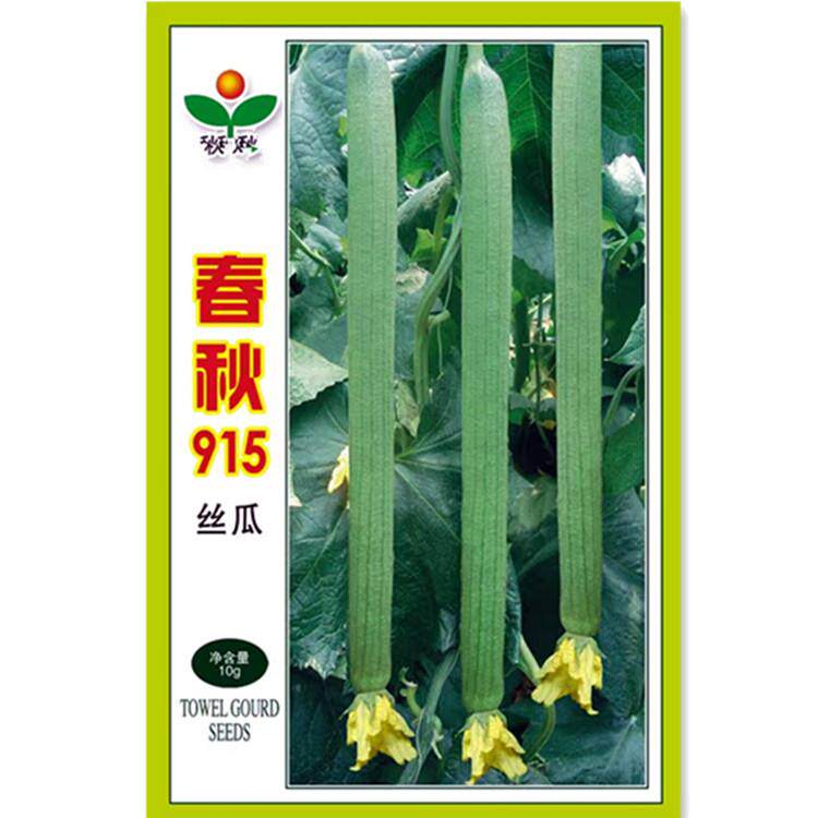 荷兰引进早熟抗病高产带顶花丝瓜种子春秋四季阳台盆栽蔬菜种子苗