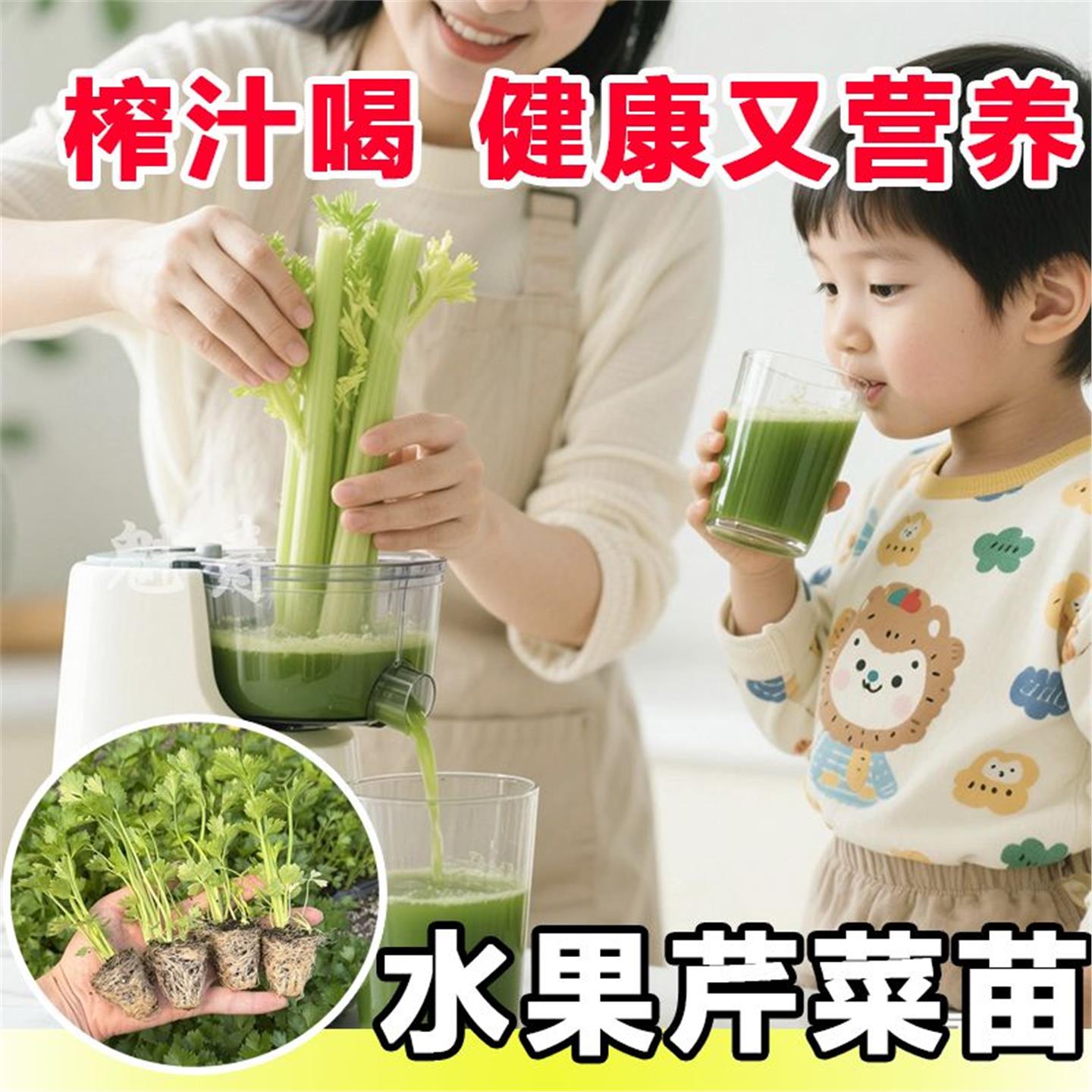 水果西芹苗秧带土球实心黄