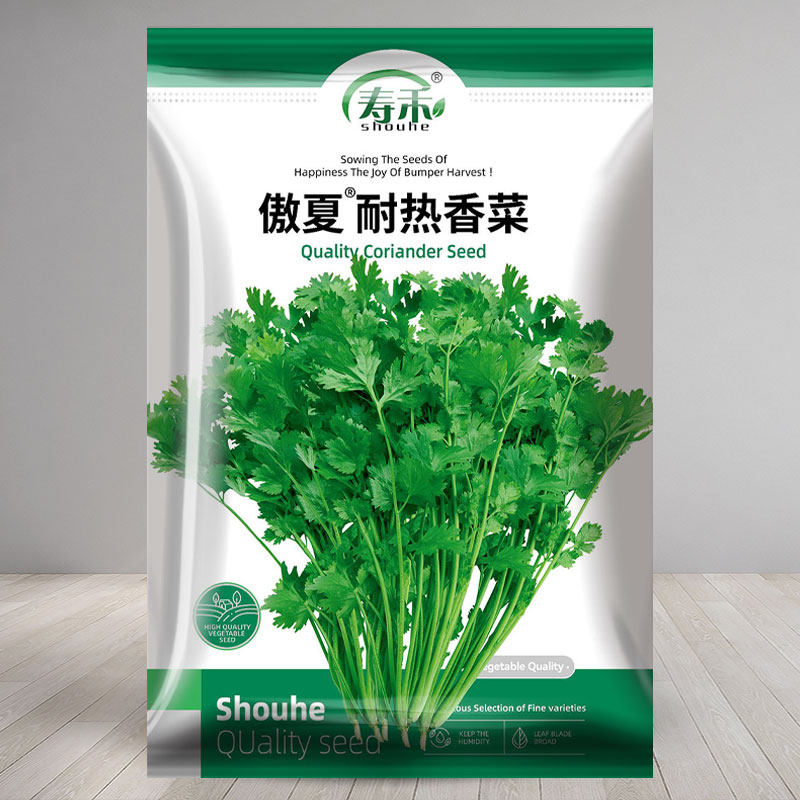 耐热大叶香菜籽种四季子芫