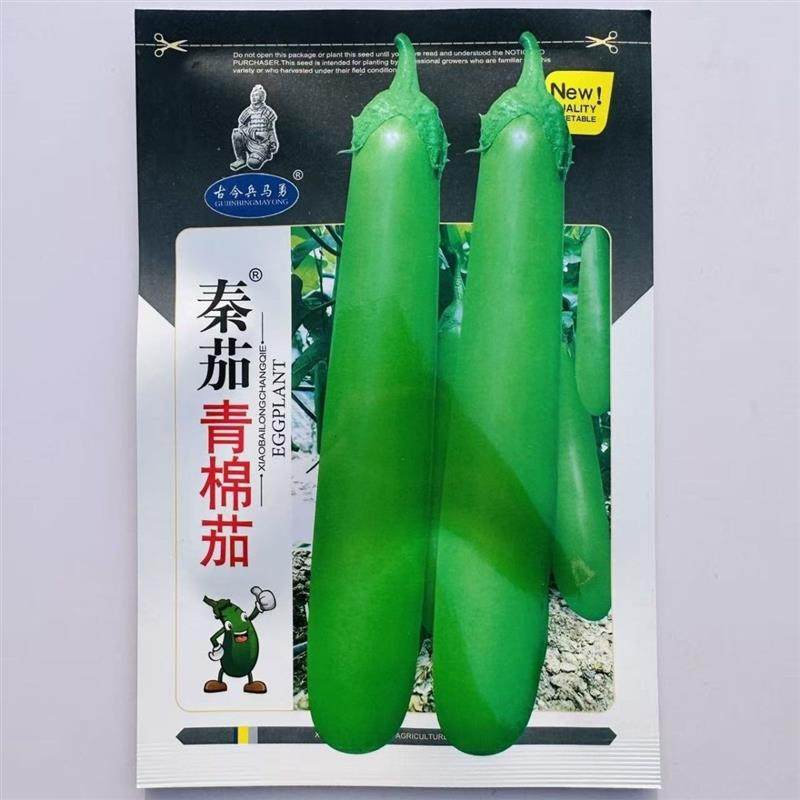 秦茄青棉种子杂交绿长皮薄