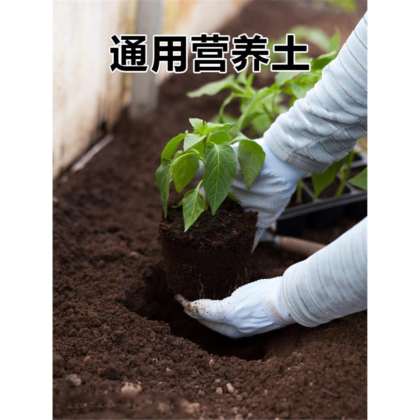 阳台种菜土壤营养土通用型种植土花土泥土黑土有机肥料蔬菜专用土