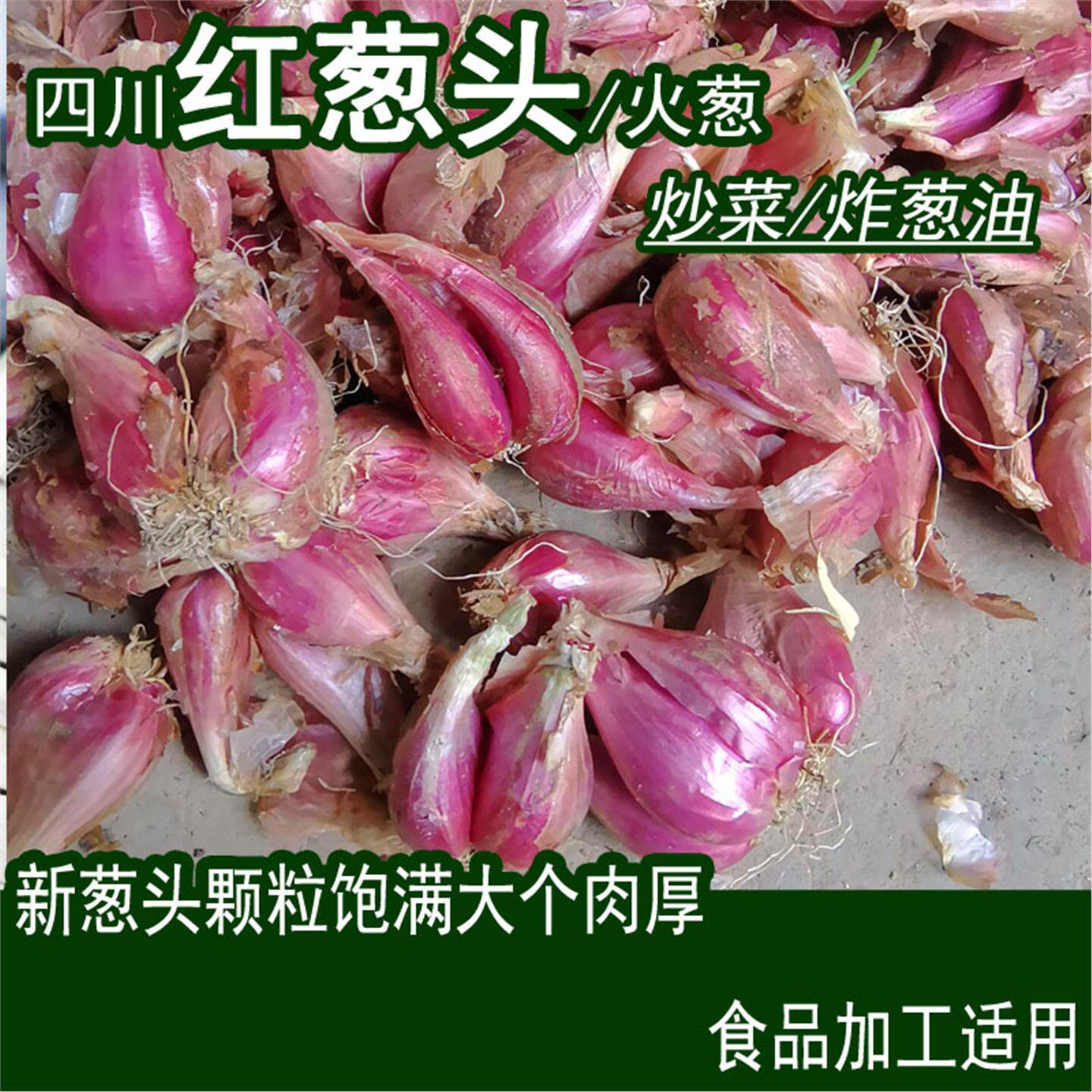 四川正宗小香葱红紫皮火头