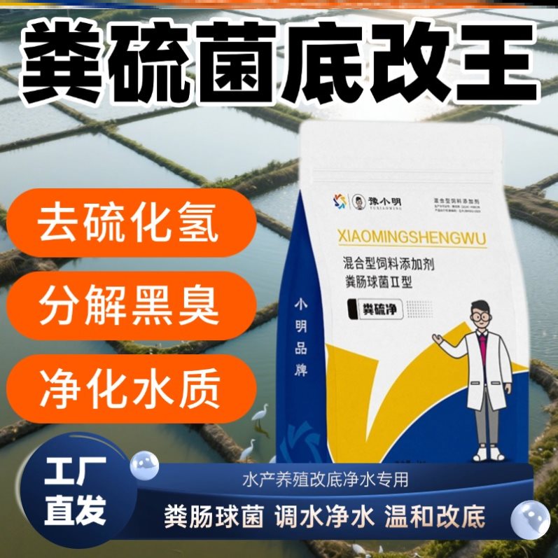 粪硫净水产改底粪硫菌粪球菌改底王粪硫菌改底颗粒粪硫菌肽