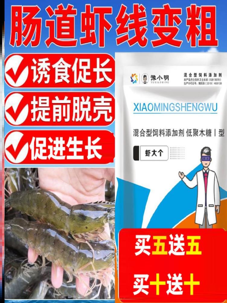 淡水养殖虾提前上市金刚虾催肥虾个头增大沼虾增重青虾促生长