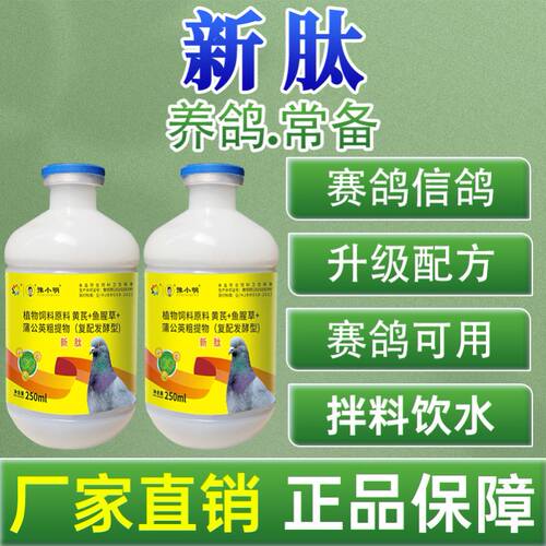 赛鸽养殖用新肽 新肽鸽用 赛鸽新肽 观赏鸽子 信鸽新肽 新太