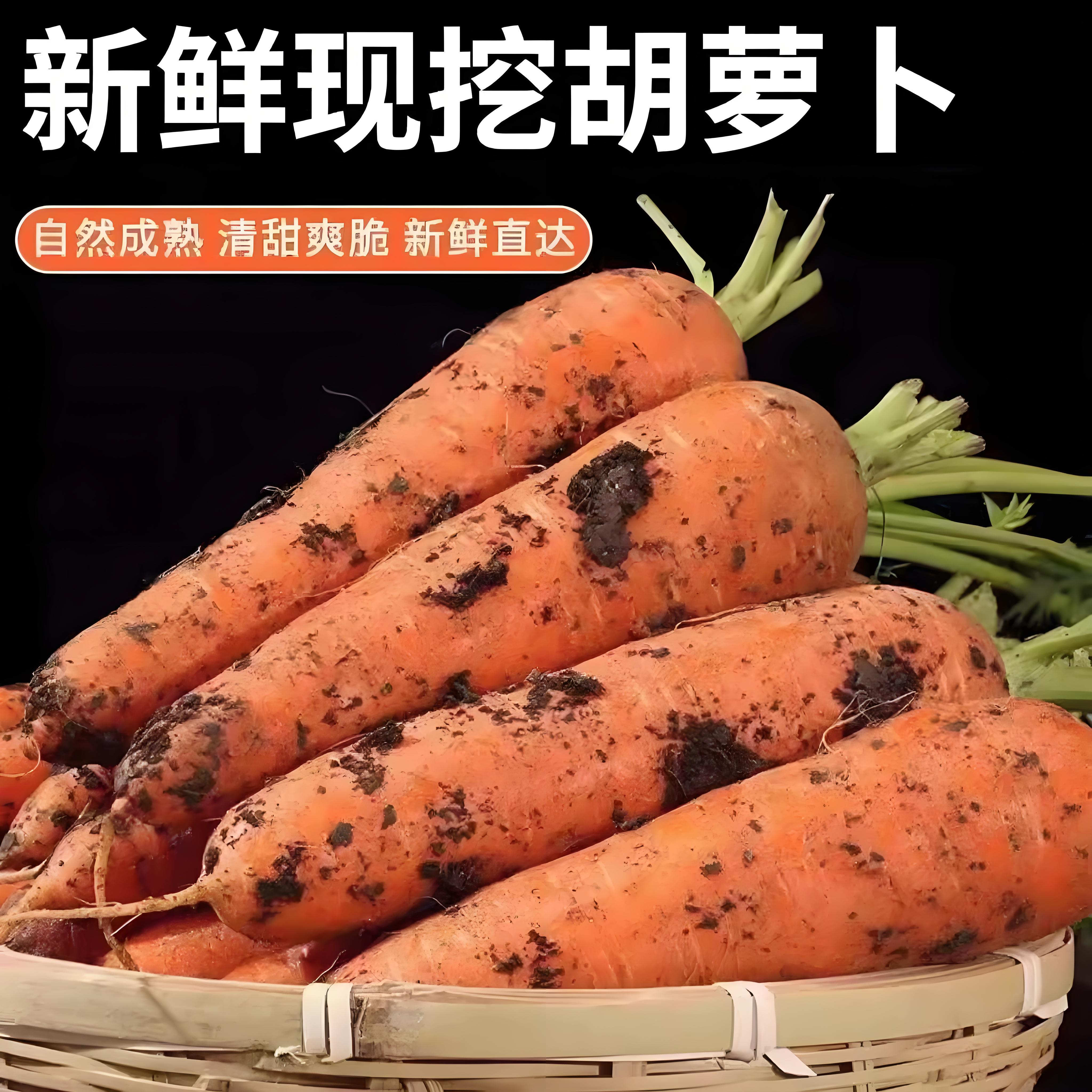 2026当季新鲜胡萝卜农家自种新货