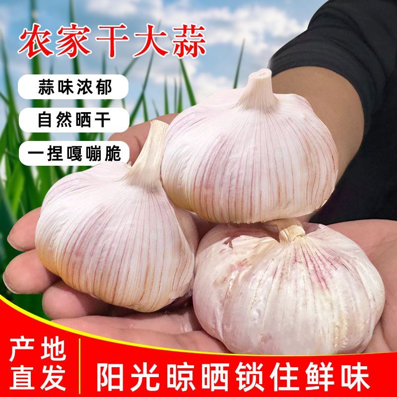 河南农家新季干大蒜多规格批发