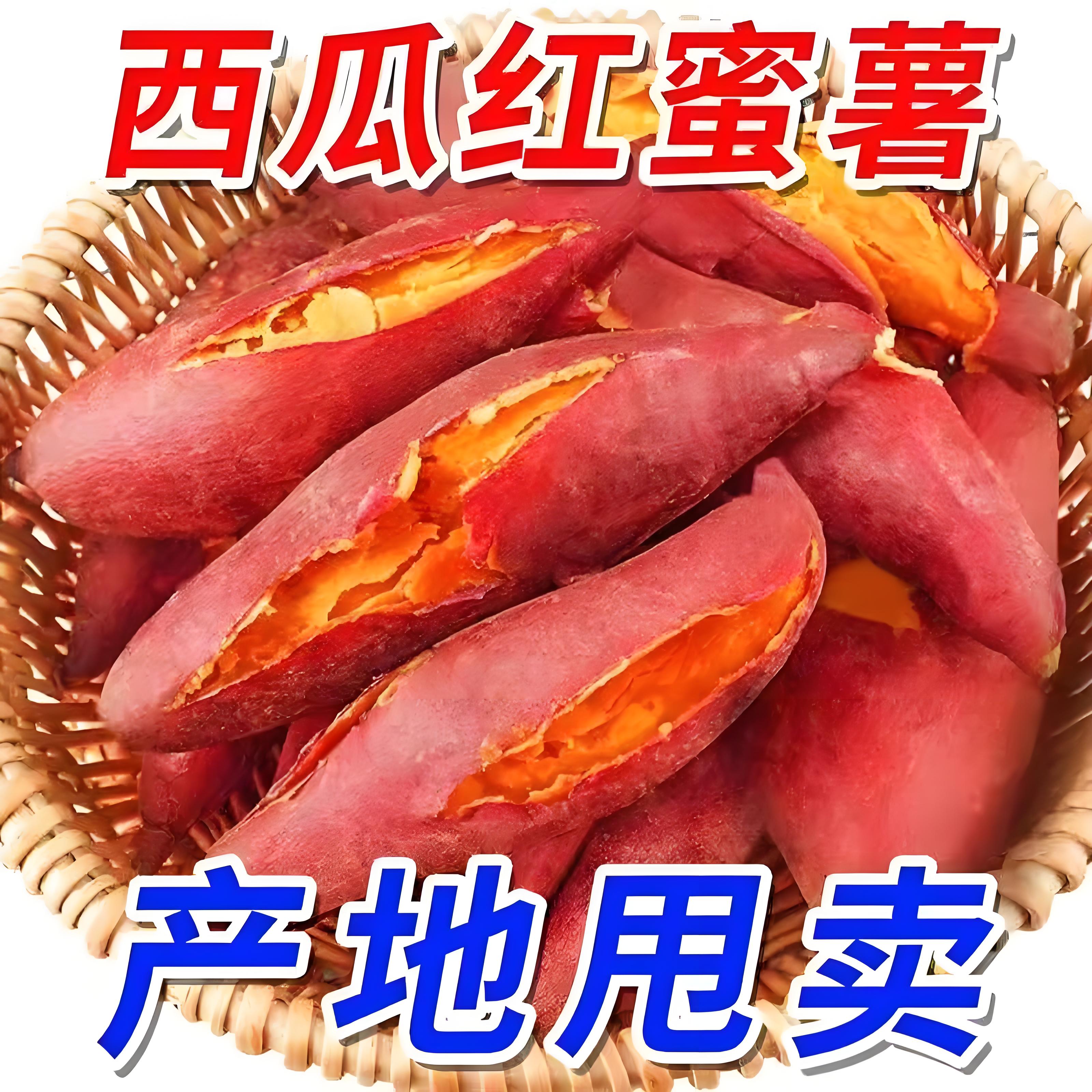西瓜红蜜薯沙地现挖流蜜香甜10斤