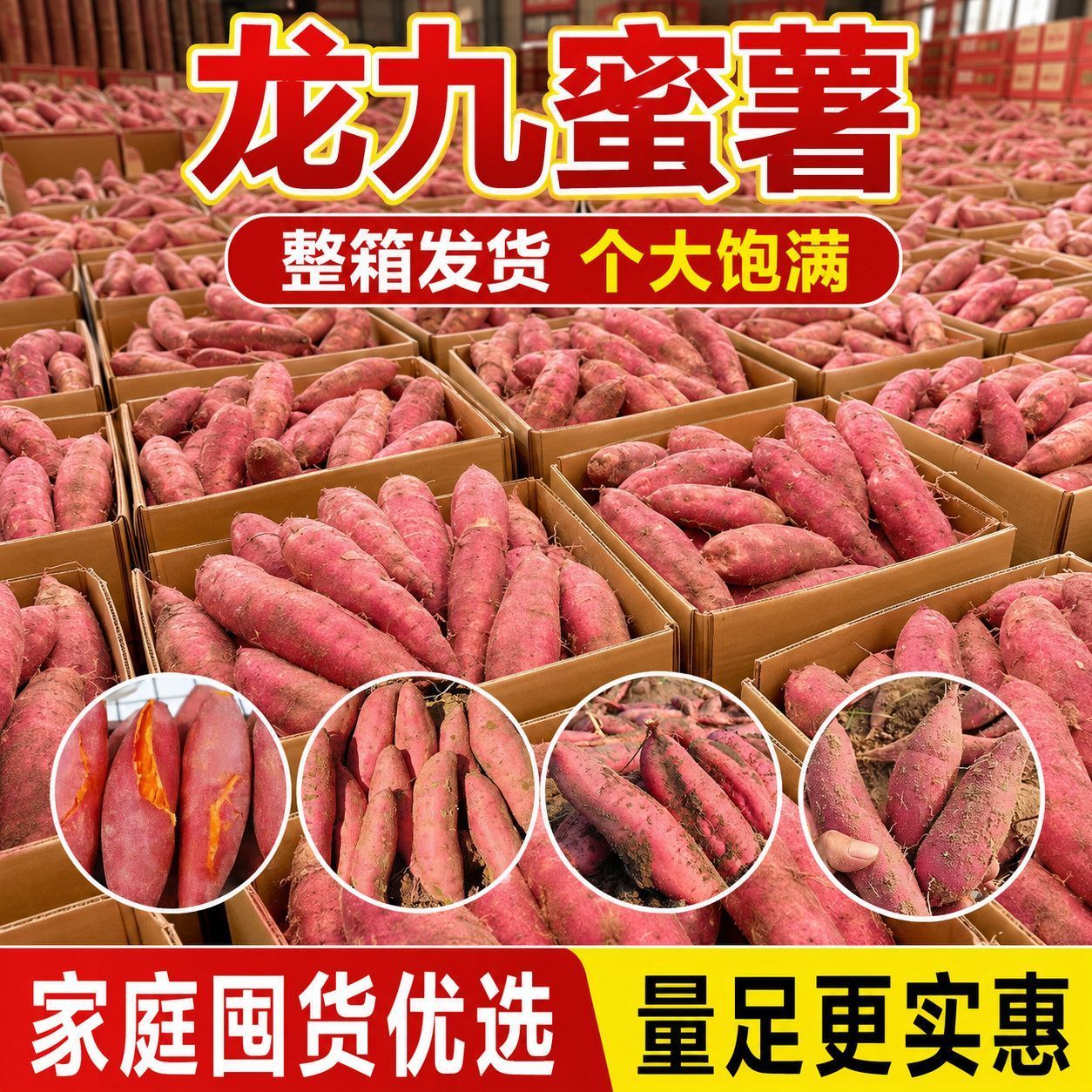 正宗龙九蜜薯沙地现挖板栗红薯
