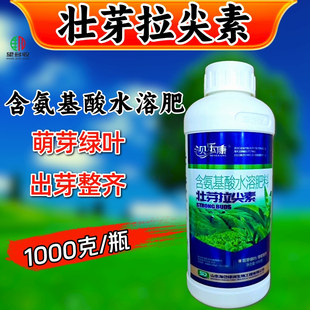 壮芽拉尖素茶叶专用叶面肥催芽增厚素芽齐浓密芽壮绿叶1千克正品