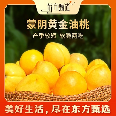 东方甄选自营蒙阴黄金油桃多汁新鲜应季水果3斤/4.5斤坏果包赔东