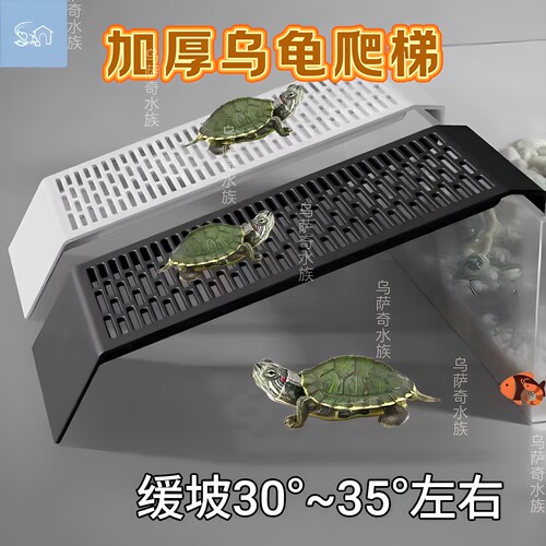 乌龟爬梯产蛋池挂梯爬宠爬台