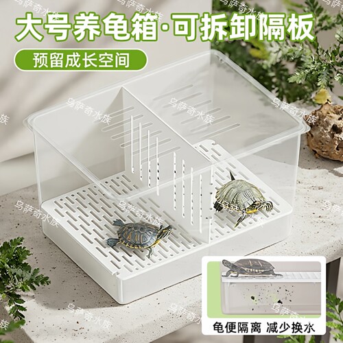 龟苗隔离盒乌龟多功能饲养盒