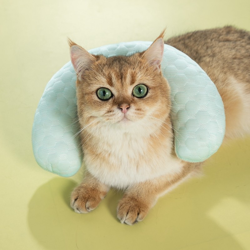 多可特猫枕头猫咪凉席夏季凉垫狗窝垫子冰垫狗狗枕头专用宠物枕头,宠物/宠物食品及用品,猫狗垫子,淘宝优惠券,粉丝福利购,淘宝优惠卷