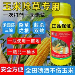 玉米苗后除草专用剂玉米地除草专用剂除草剂烂根剂封闭药不伤苗灭