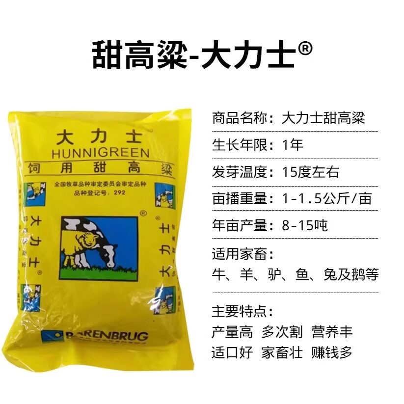大力士甜高粱种子 牧草种子 百绿授权 大田种植高产南方北方种籽