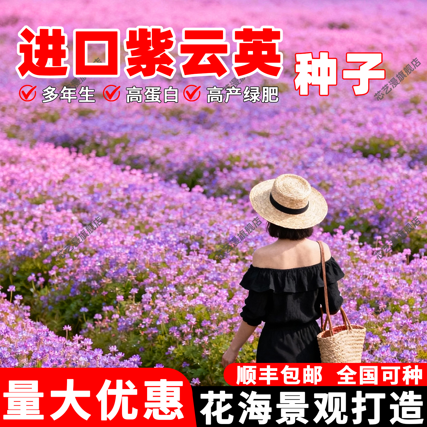 紫云英种子养蜂蜜源绿肥种籽红花草高产牧草种果园可食用固氮草籽