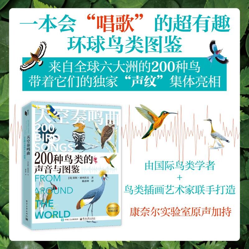 天空奏鸣曲 200种鸟类的声音与图鉴 有趣的鸟类 每种鸟都配有精美手绘插图 巧妙融合了知识性和趣味性