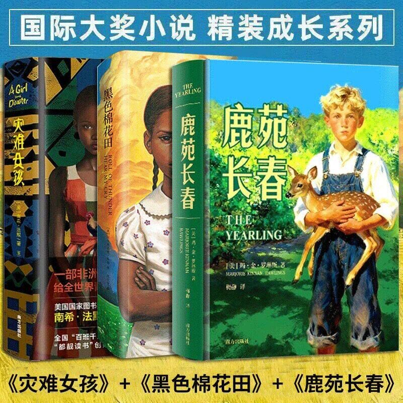 苑长春灾难女孩精装版黑色棉花田