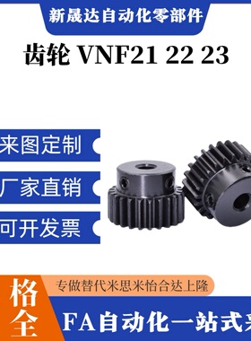 齿轮 VNF21 22 23-1.0-20/21/22/23-B10-A/B-P6/P6.35/P8/P10/P12