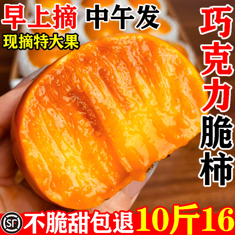 [顺丰包邮]巧克力脆柿10斤16