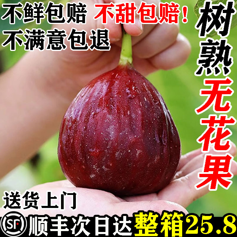 [顺丰当天发]树熟无花果6斤25.8