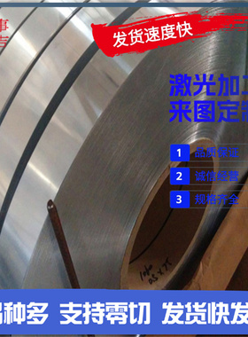 AlNi10耐冲击ZL301铸造铝合金棒AlFe20高强度ZL401铝锭ZL114A铝板