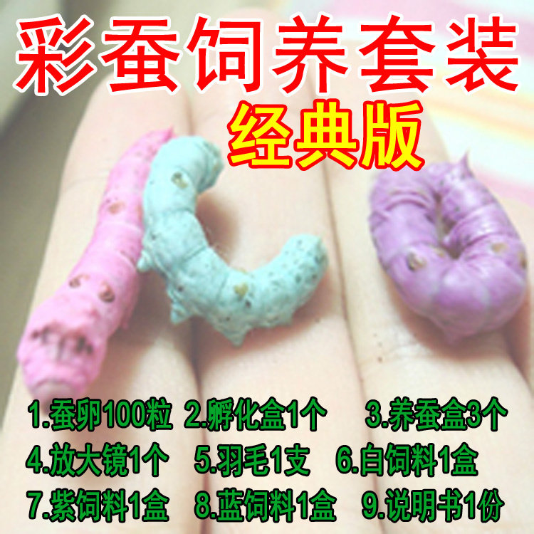 蚕宝宝彩色饲料套装 蚕卵蚕籽喂新鲜桑叶 学生养蚕套餐七彩蚕宝宝