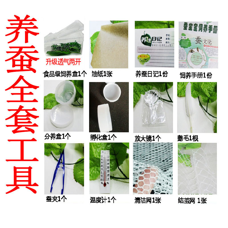蚕宝宝工具抓蚕羽毛夹子放大镜结茧网油纸温度计蚕清理网养蚕工具