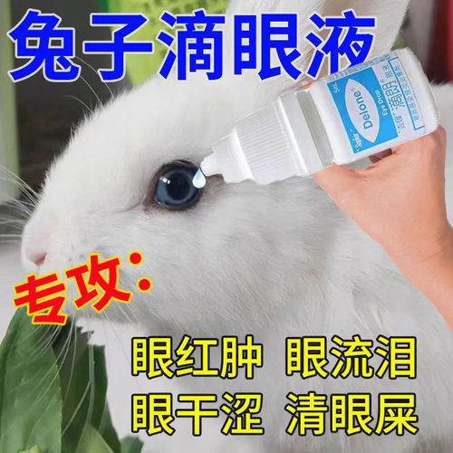兔子滴眼液眼睛发炎宠物兔专用眼屎多眼睛红肿眼角膜炎兔子眼药水