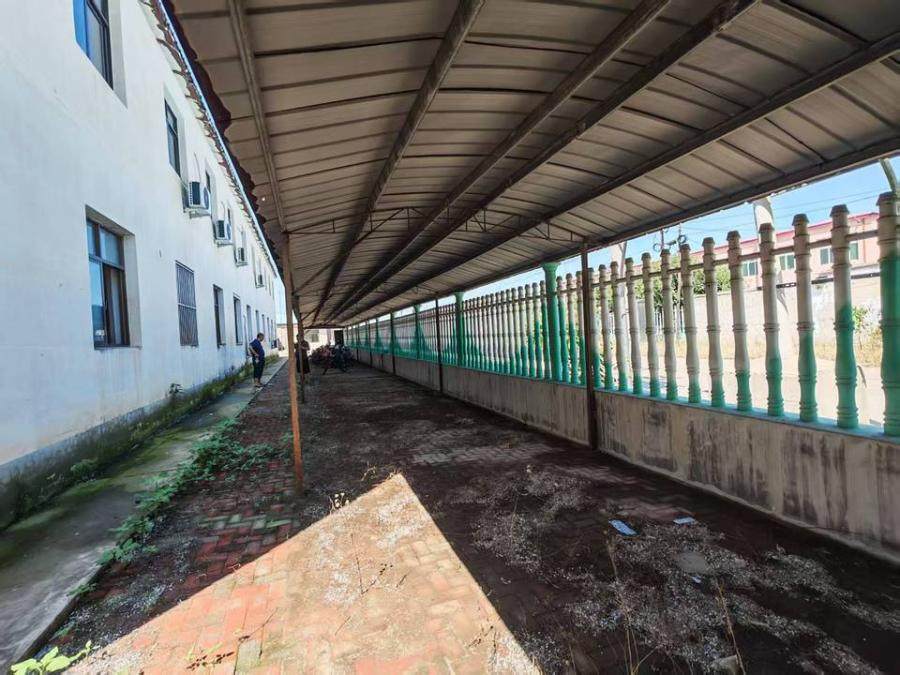 1月28日唐山政府西侧的土地及附着物网络拍卖公告