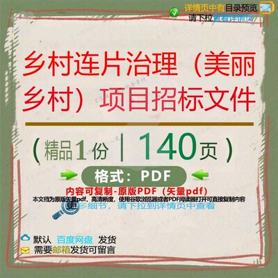 乡村连片治理（美丽乡村）项目招标文件14项目CT文件资料招标ED