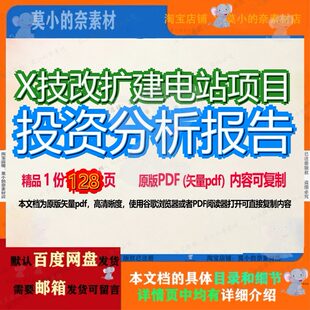 X技改扩建电站项目投资分析报告128页 项目分析分析报告电站改扩