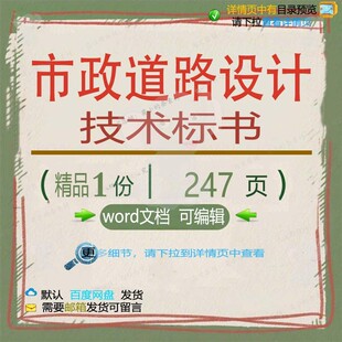 市政道路设计技术标书 设计方案技术道路市道路市政标书word文政