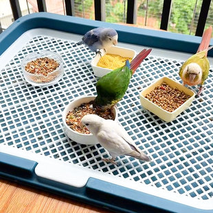 鹦鹉定点排便厕所站架玄凤牡丹拉屎神器小太阳和尚鹦鹉桌面训练