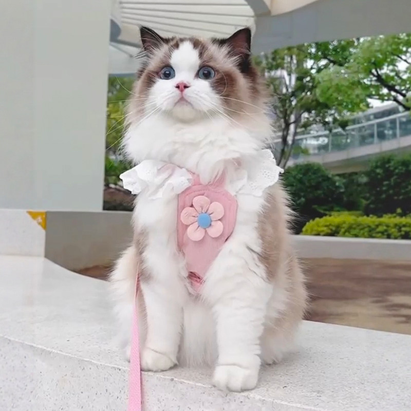 猫咪牵引绳甜美可爱小花狗狗防挣脱胸背宠物衣服外出遛猫绳猫绳子