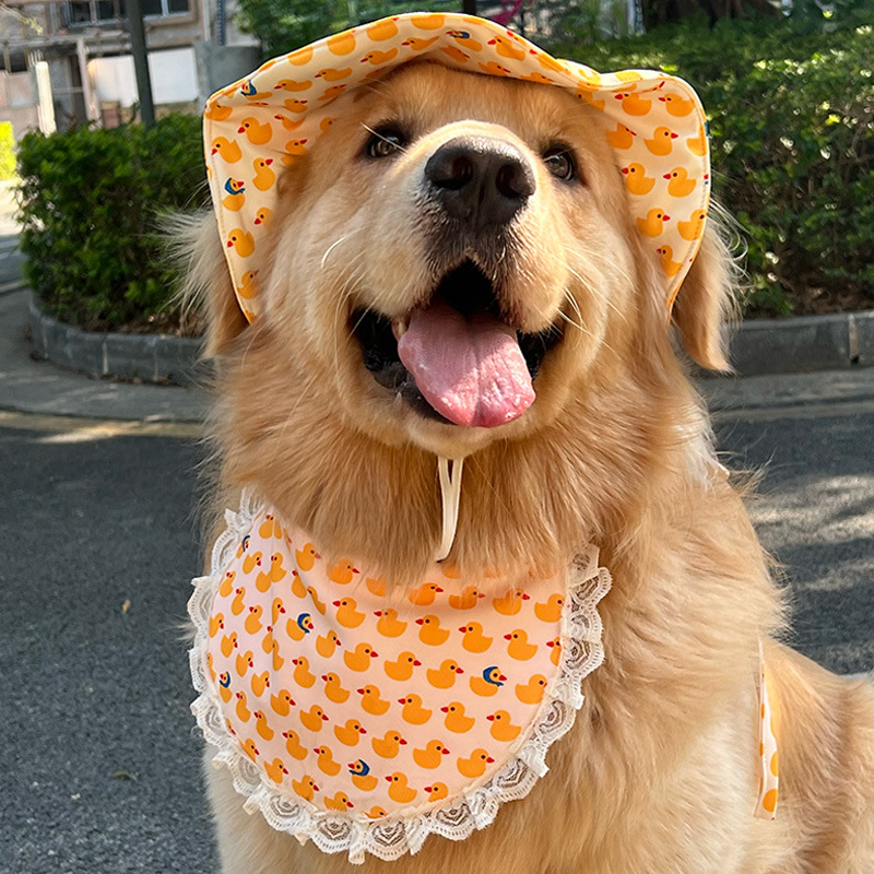 大型犬专用狗狗帽子夏天露耳朵遮阳防晒边牧金毛拉布拉多萨摩耶