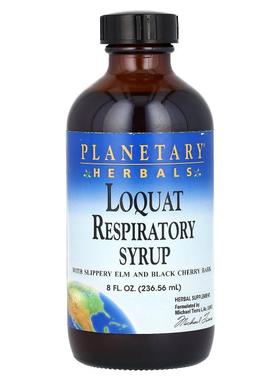 Planetary Herbals,枇杷呼吸系统支持糖浆，8 液量盎司（236.56