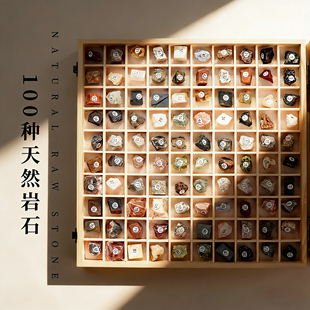 100种天然岩石原石头标本套装三大岩矿物科普教学具地质摆件套装