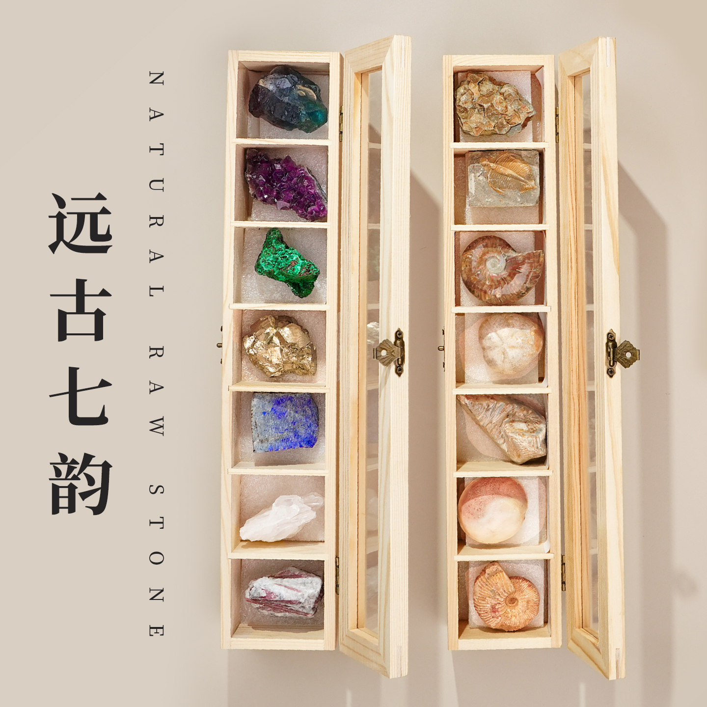 天然水晶矿石标本孔雀石矿物原石古生物菊石海螺昆虫化石标本套装