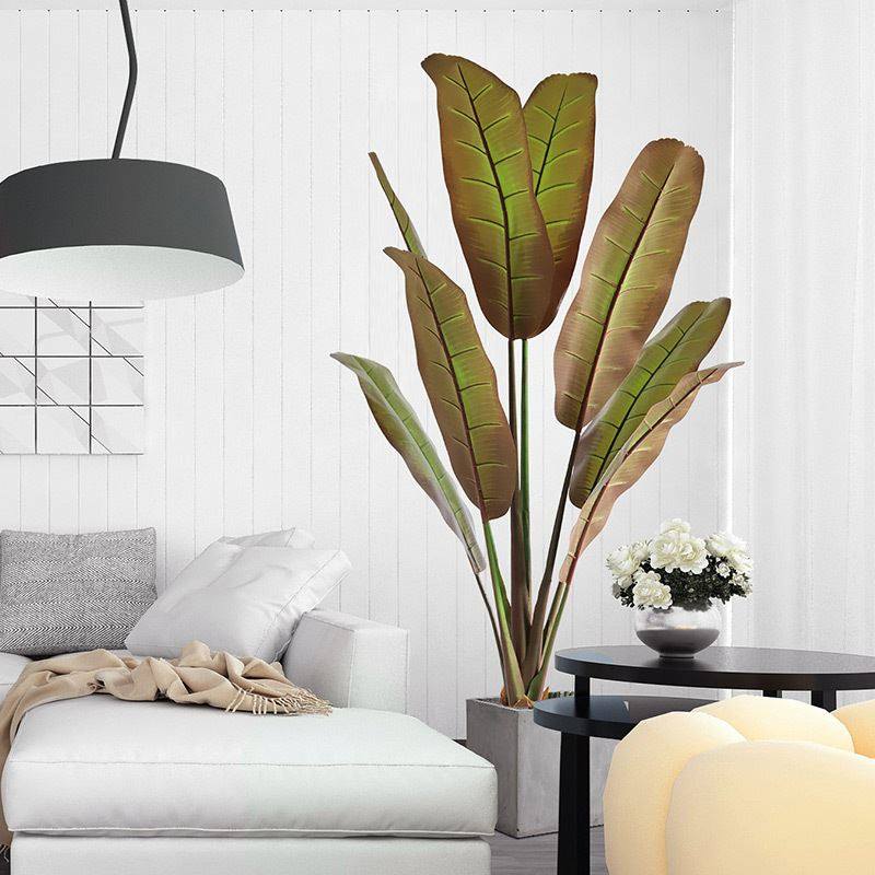 巨型观叶植物象腿蕉绿植象脚芭蕉树仿生植物热带大叶假树绿植